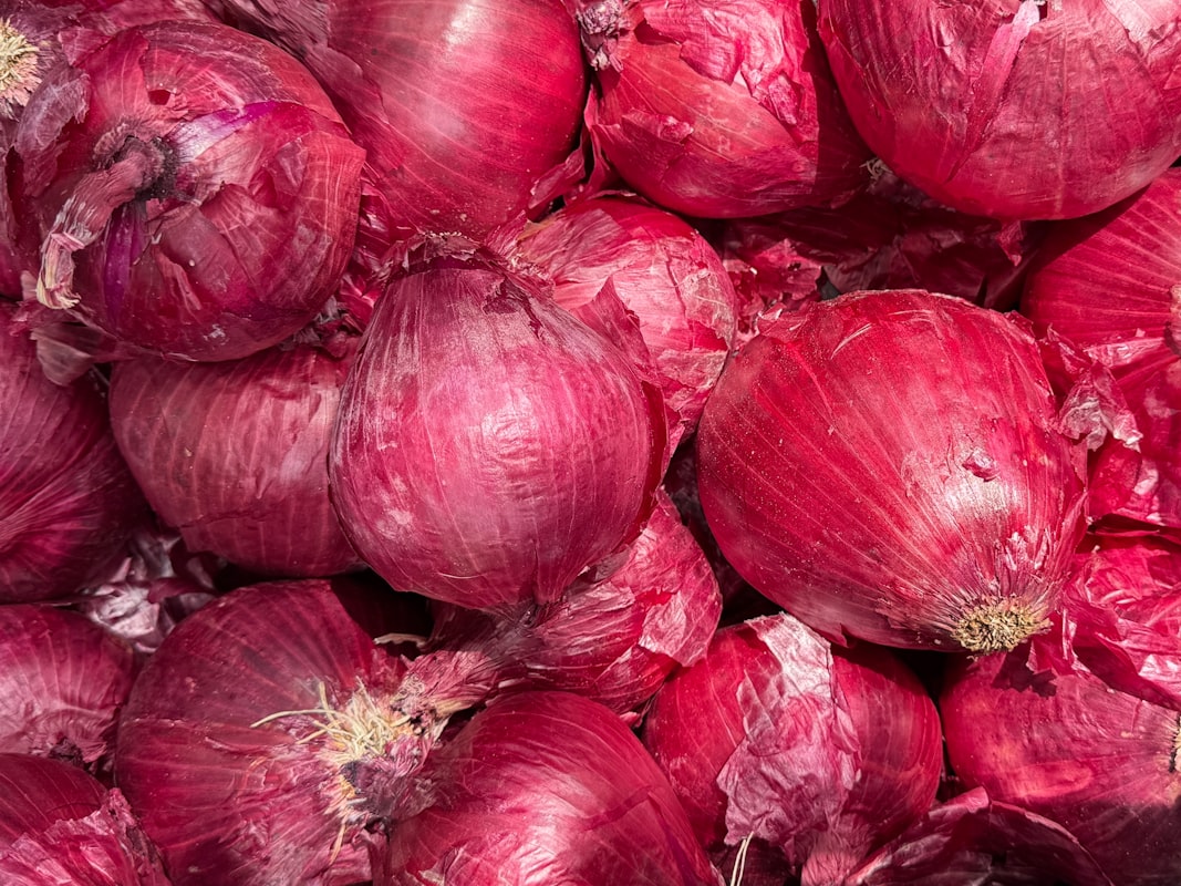 Petani lokal dengan hasil panen sayuran segar